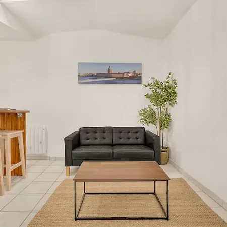 Havre De Paix Avec Terrasse Prive A * 圖盧茲